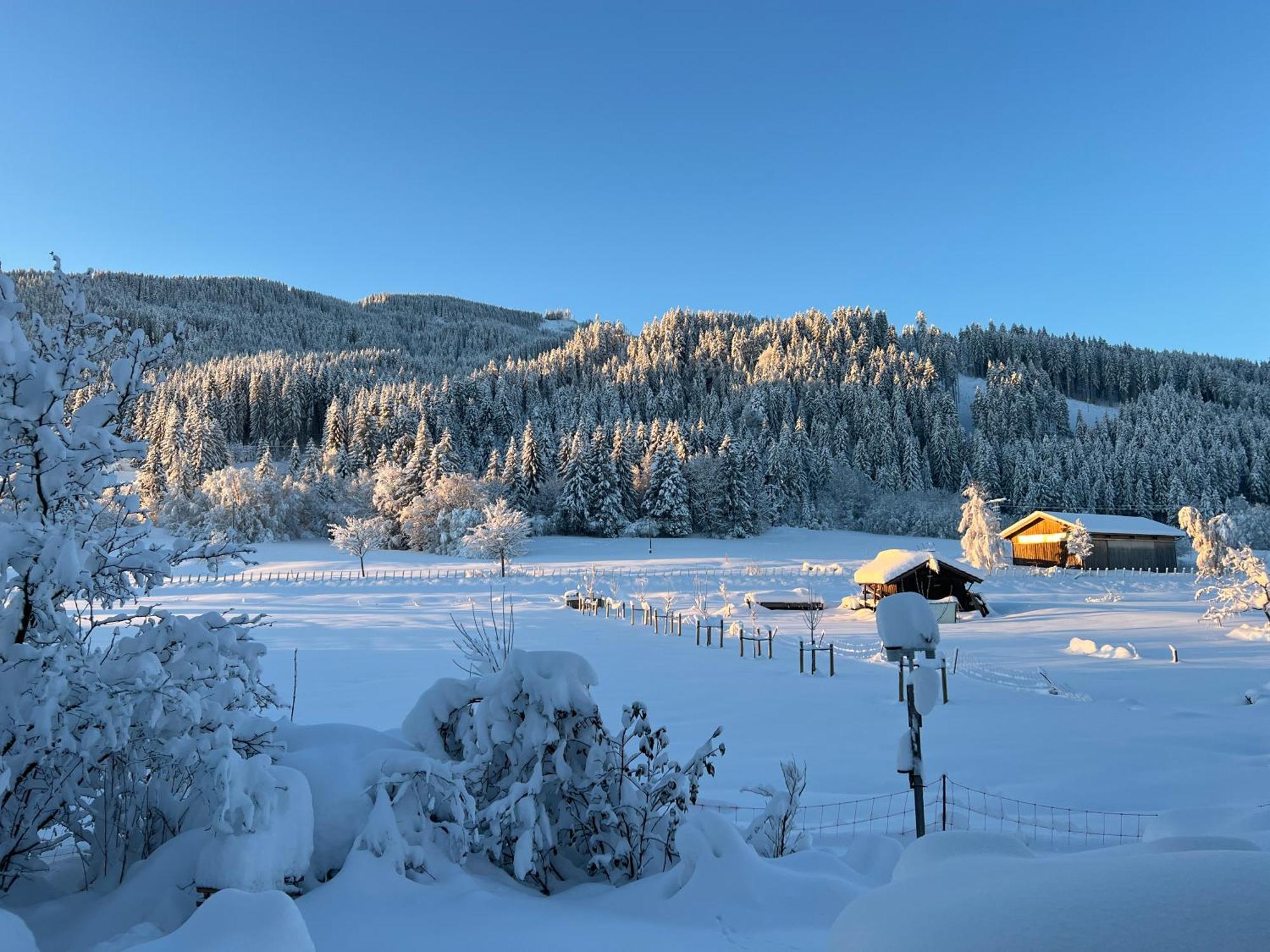 Beim Patzelt - Ferienhaus In Nesselwang Bagian luar foto